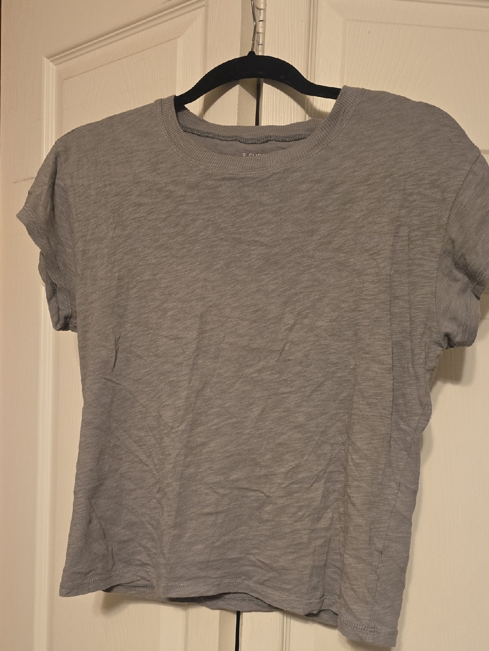 Z Supply Light Modern Tee Gray Short Sleeve Crew Tee